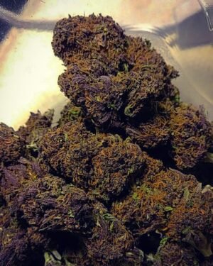purple kush